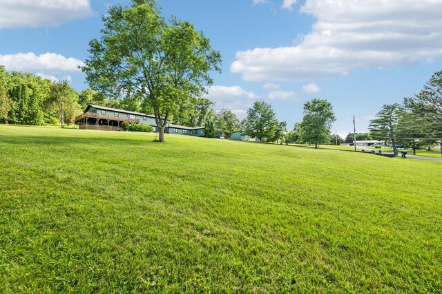 305 Ridgewood Dr, Shelbyville, TN 37160 - photo 37