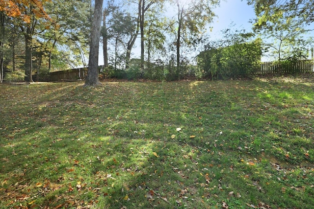 117 Fitzpatrick Ct, Nashville, TN 37214 - view of fenced yard