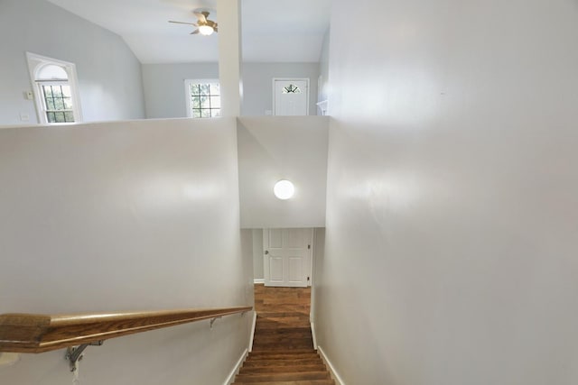 117 Fitzpatrick Ct, Nashville, TN 37214 - staircase with a ceiling fan, wood finished floors, and vaulted ceiling