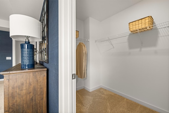 582 Gingerwood Ln, Hendersonville, TN 37075 - walk in closet with carpet