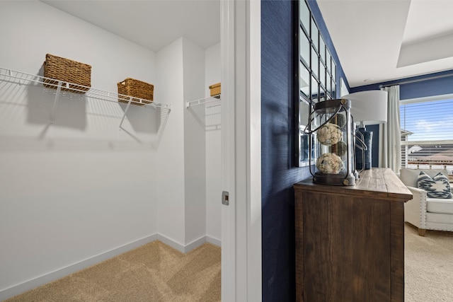 582 Gingerwood Ln, Hendersonville, TN 37075 - walk in closet with carpet