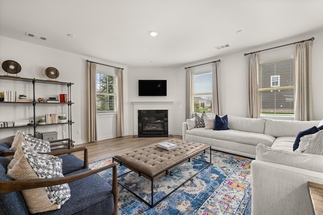 582 Gingerwood Ln, Hendersonville, TN 37075 - living room featuring healthy amount of natural light, wood finished floors, and a glass covered fireplace