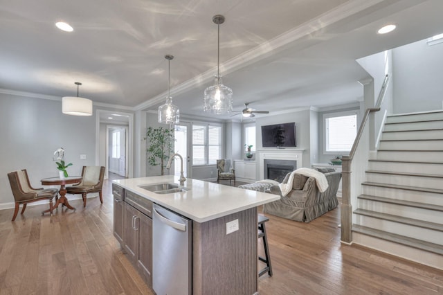 232 Moray Ct, Franklin, TN 37064 - kitchen featuring dishwasher, a fireplace, a ceiling fan, plenty of natural light, and crown molding