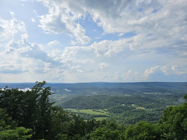 9311 Scenic Hwy, Lookout Mountain, GA 30750 - view of mountain background featuring a forest