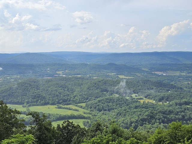 9311 Scenic Hwy, Lookout Mountain, GA 30750 - view of mountain backdrop featuring a heavily wooded area
