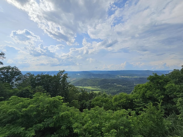 9311 Scenic Hwy, Lookout Mountain, GA 30750 - view of mountain backdrop with a heavily wooded area