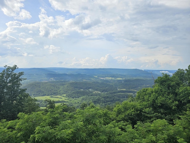 9311 Scenic Hwy, Lookout Mountain, GA 30750 - view of mountain backdrop with a forest