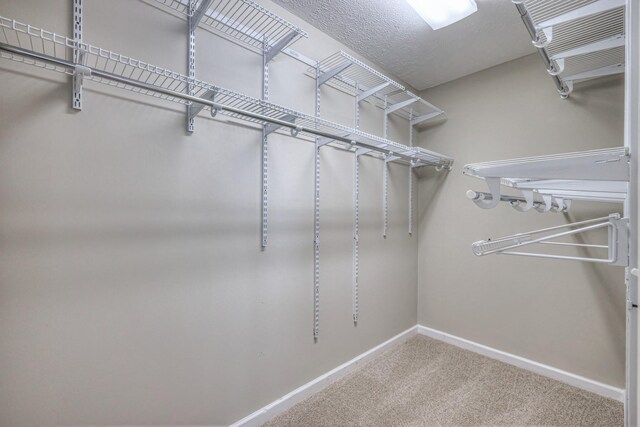 5451 Middlebury Dr, Murfreesboro, TN 37128 - walk in closet with carpet