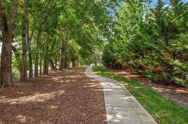 7040 Wenlock Ln, Franklin, TN 37064 - view of community