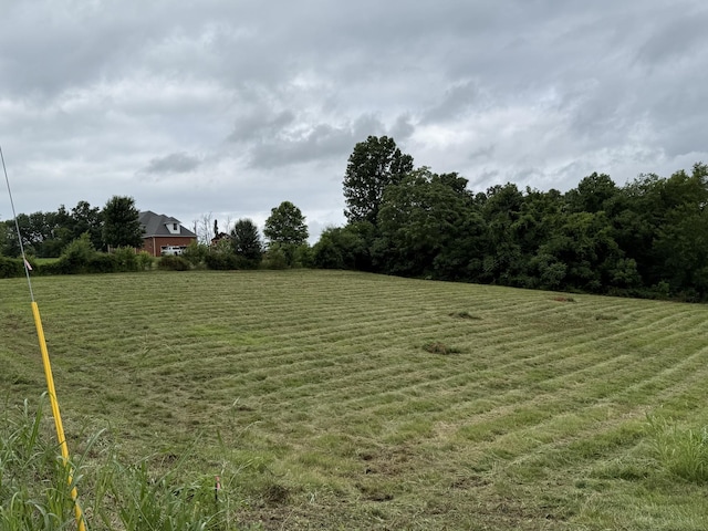 4015 Trough Springs Rd, Adams, TN 37010