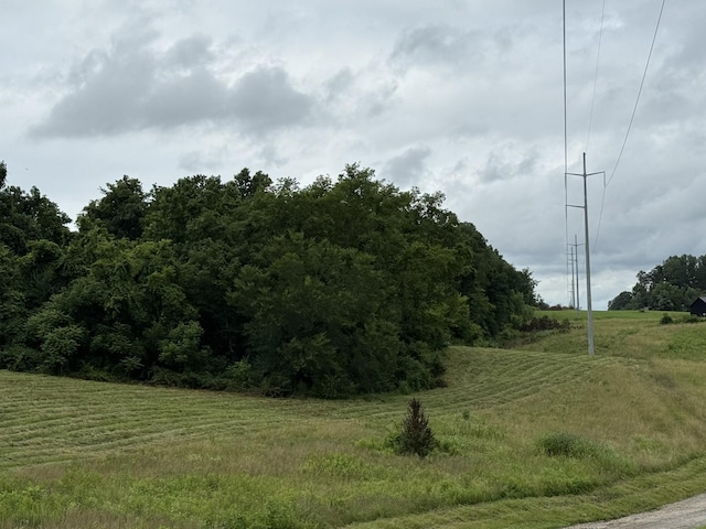 4015 Trough Springs Rd, Adams, TN 37010