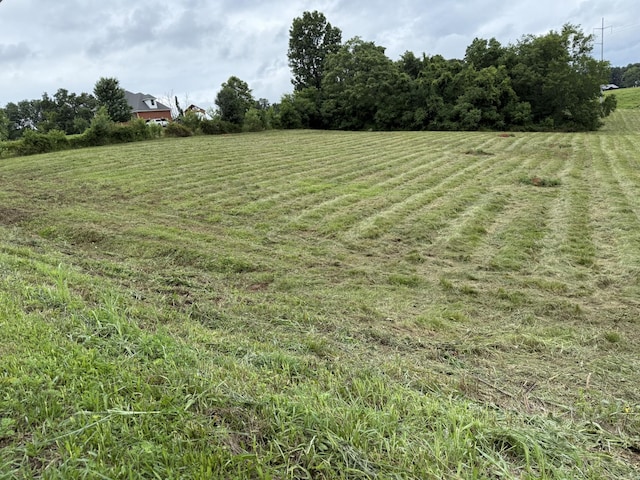 4015 Trough Springs Rd, Adams, TN 37010