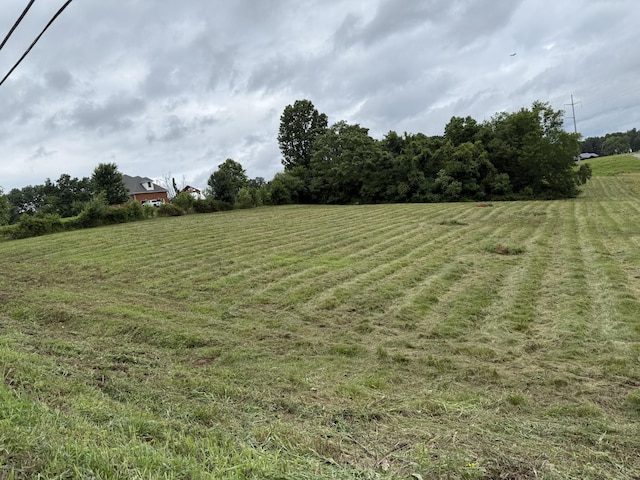 4015 Trough Springs Rd, Adams, TN 37010