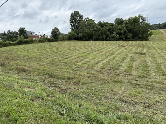 4015 Trough Springs Rd, Adams, TN 37010