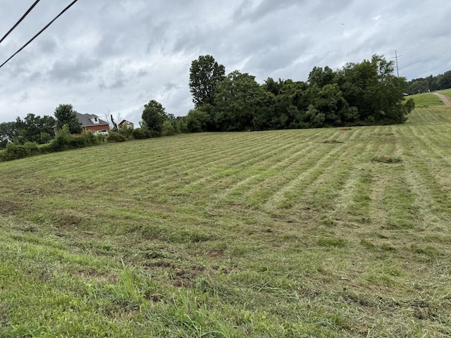 4015 Trough Springs Rd, Adams, TN 37010