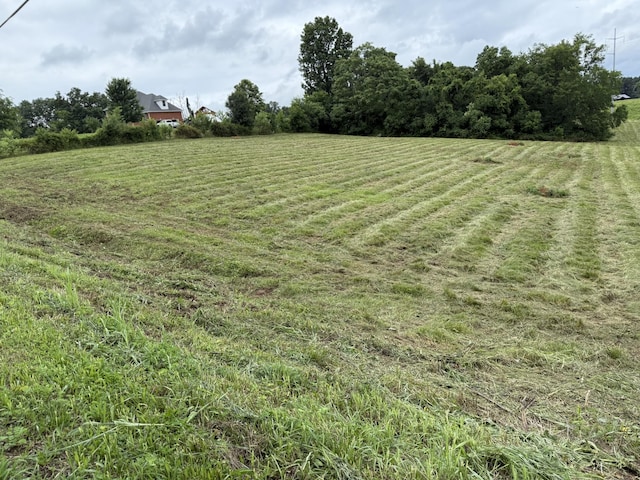 4015 Trough Springs Rd, Adams, TN 37010