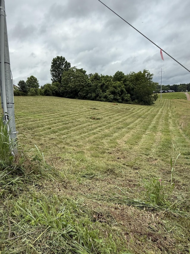4015 Trough Springs Rd, Adams, TN 37010