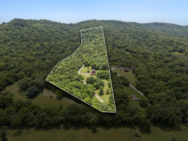 32 Morris Ln, Pleasant Shade, TN 37145 - aerial view of property and surrounding area featuring a heavily wooded area and property boundaries highlighted