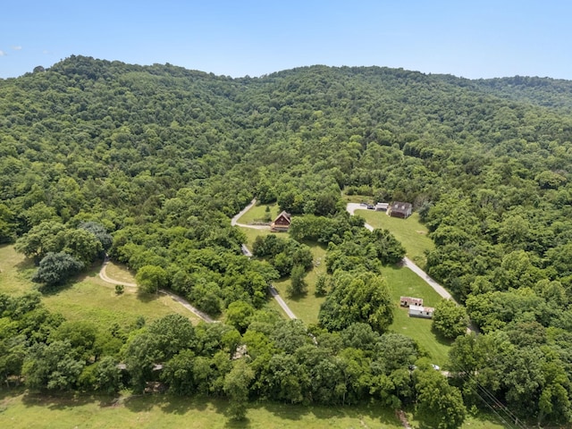 32 Morris Ln, Pleasant Shade, TN 37145 - bird's eye view of a heavily wooded area