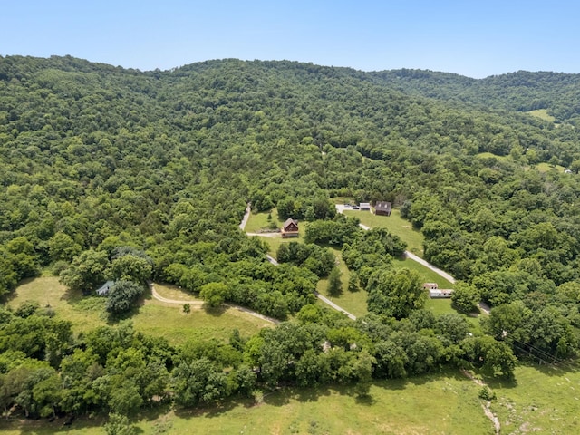32 Morris Ln, Pleasant Shade, TN 37145 - bird's eye view of a forest