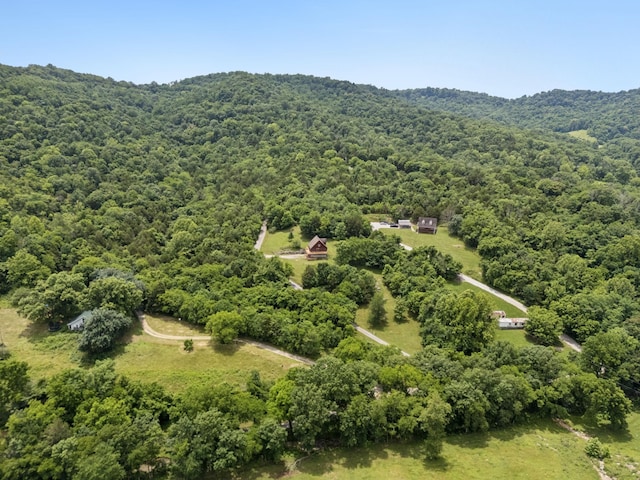 32 Morris Ln, Pleasant Shade, TN 37145 - aerial view of a heavily wooded area