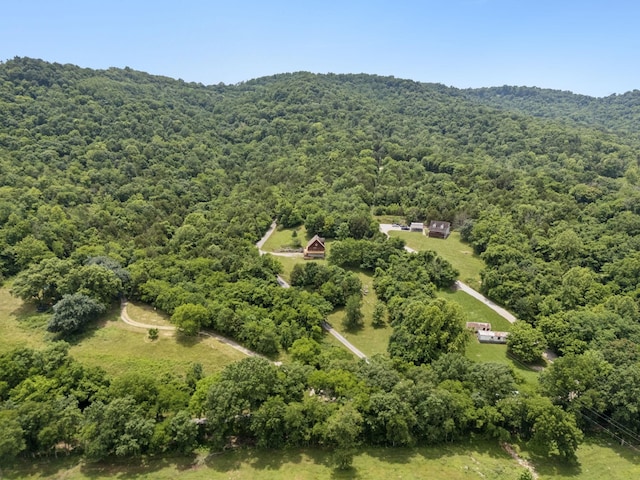 32 Morris Ln, Pleasant Shade, TN 37145 - bird's eye view of a forest