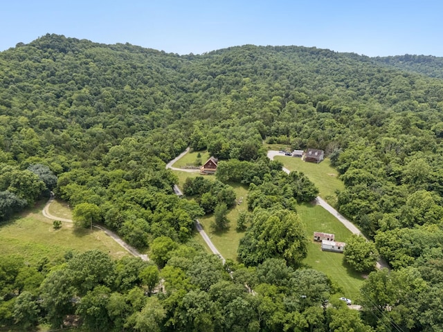 32 Morris Ln, Pleasant Shade, TN 37145 - bird's eye view of a heavily wooded area