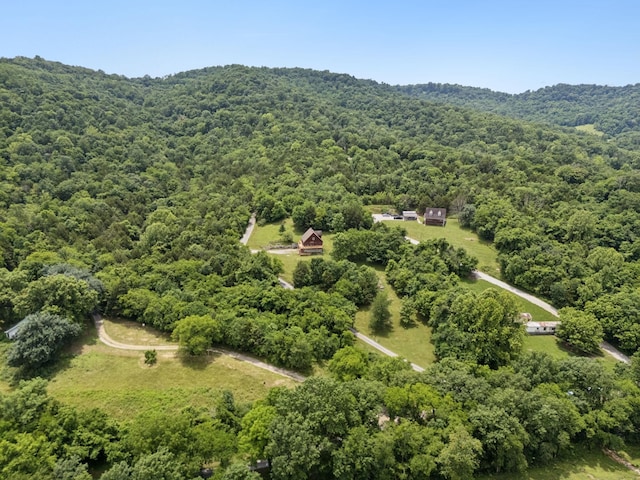 32 Morris Ln, Pleasant Shade, TN 37145 - bird's eye view of a heavily wooded area