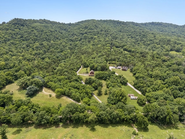32 Morris Ln, Pleasant Shade, TN 37145 - drone / aerial view of a forest