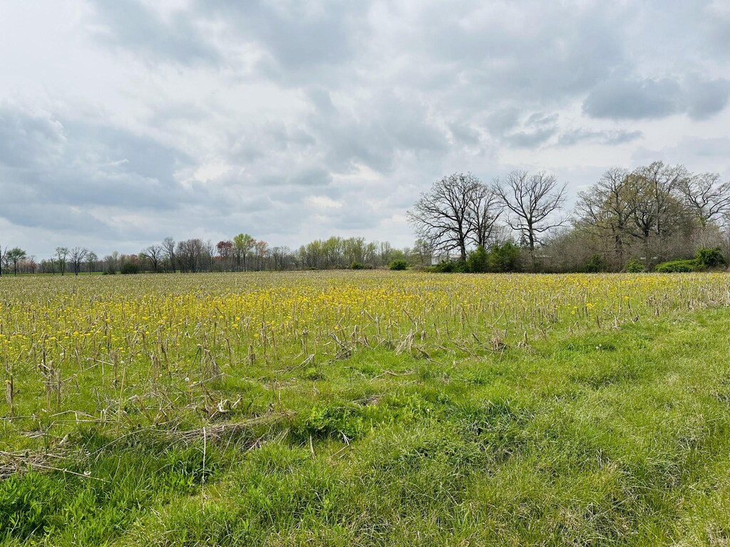 260 Dugout Rd, Summertown, TN 38483