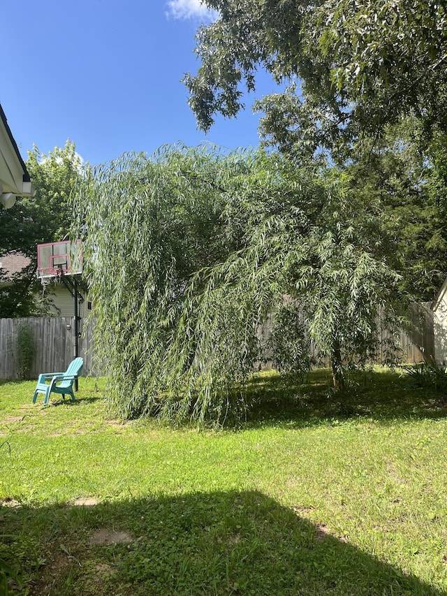 115 Robert Ave, White House, TN 37188 - photo 23