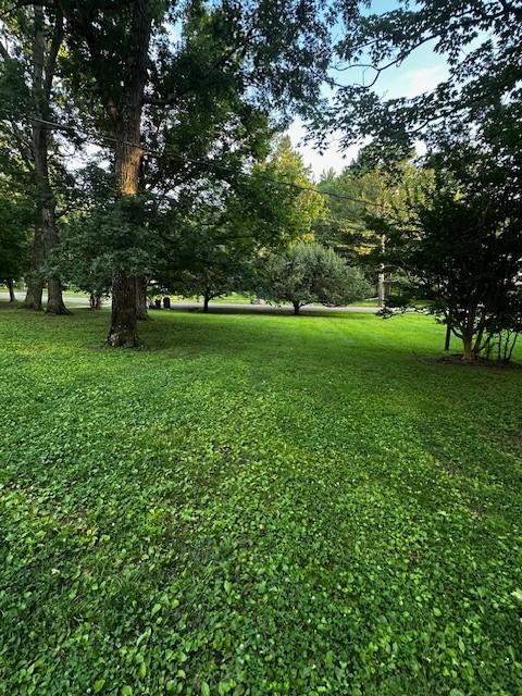 1003 Bellwood Dr, Mount Juliet, TN 37122 - photo 5