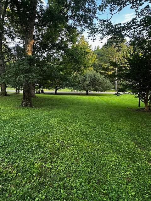 1003 Bellwood Dr, Mount Juliet, TN 37122 - photo 36