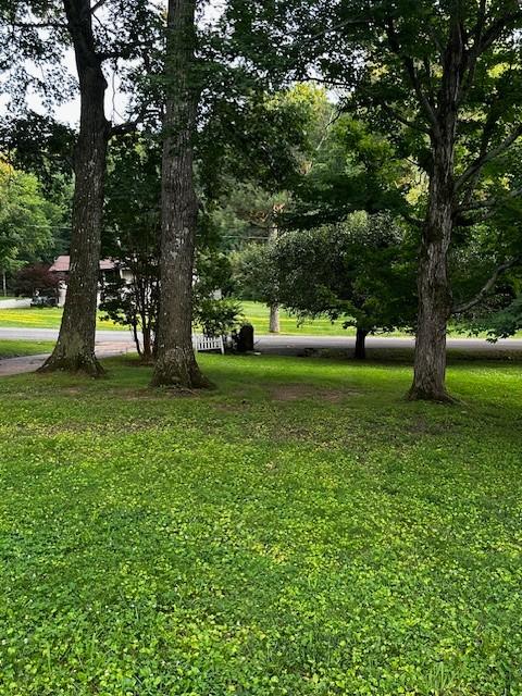 1003 Bellwood Dr, Mount Juliet, TN 37122 - photo 35