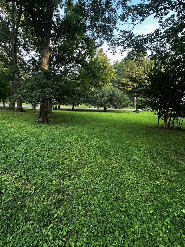 1003 Bellwood Dr, Mount Juliet, TN 37122 - photo 37