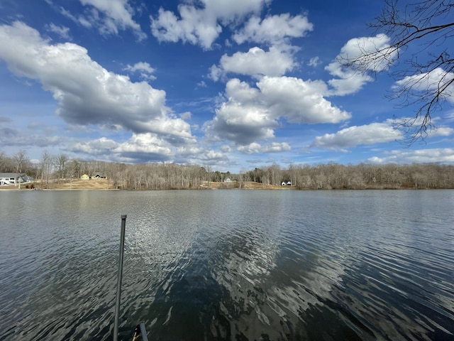 1751 Excalibur Trl, Cedar Grove, TN 38321 - photo 4