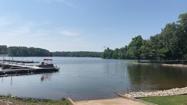 1751 Excalibur Trl, Cedar Grove, TN 38321 - photo 41