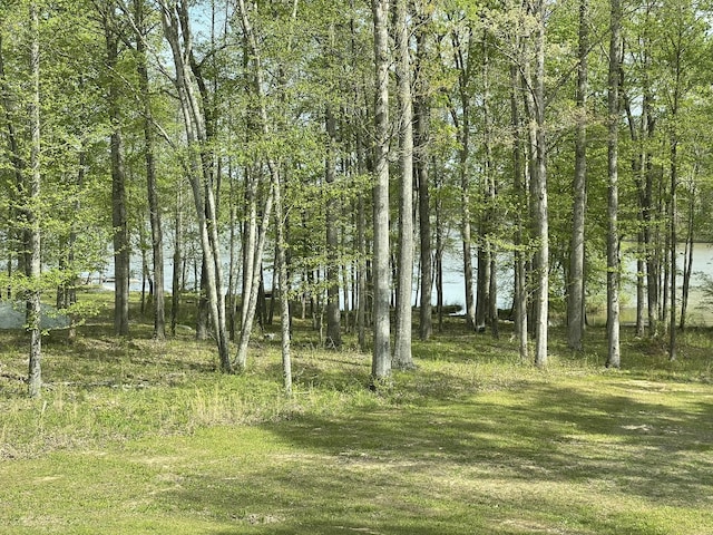 1751 Excalibur Trl, Cedar Grove, TN 38321 - photo 24