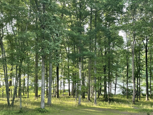 1751 Excalibur Trl, Cedar Grove, TN 38321 - photo 36