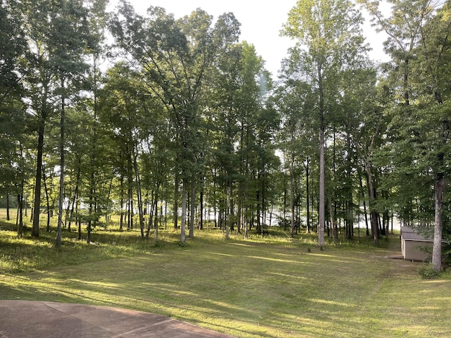 1751 Excalibur Trl, Cedar Grove, TN 38321 - photo 37