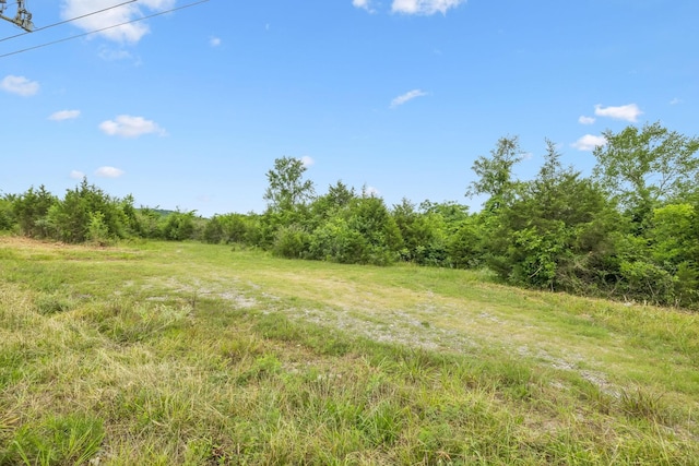 0 Halls Hill Pike, Murfreesboro, TN 37130 - photo 7