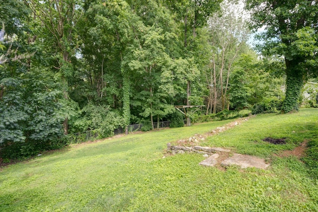 187 Bonnafield Dr, Hermitage, TN 37076 - photo 29