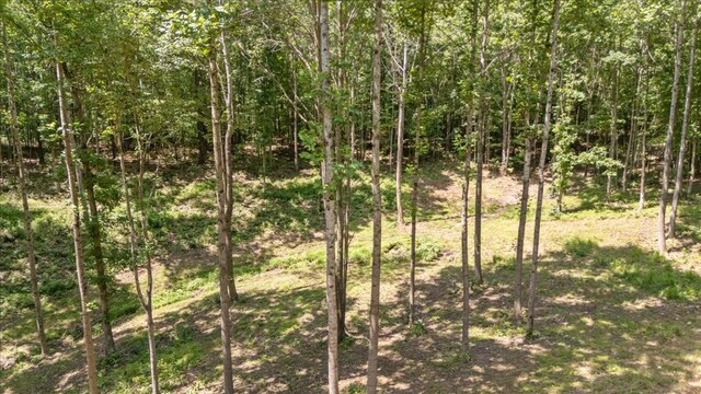6884 Oak Hill Rd, Lyles, TN 37098 - photo 37