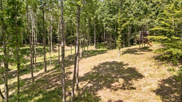 6884 Oak Hill Rd, Lyles, TN 37098 - photo 35
