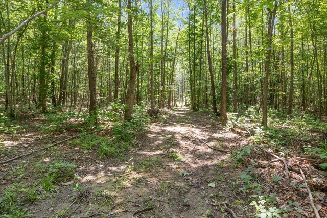 6884 Oak Hill Rd, Lyles, TN 37098 - photo 32