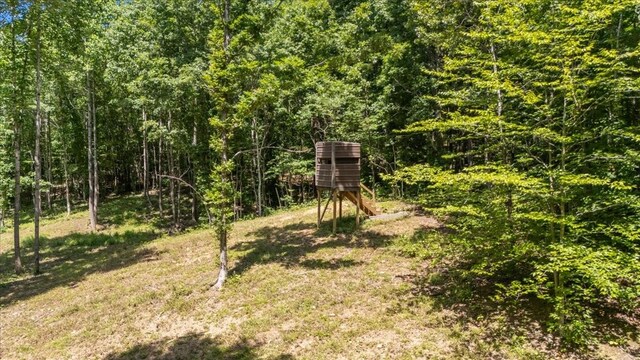 6884 Oak Hill Rd, Lyles, TN 37098 - photo 36