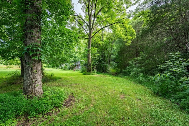 3862 Wickham Rd, Palmyra, TN 37142