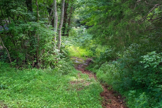 3862 Wickham Rd, Palmyra, TN 37142