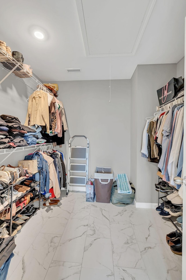 4418 Prometheus Way, Murfreesboro, TN 37128 - spacious closet with attic access and marble finish floors