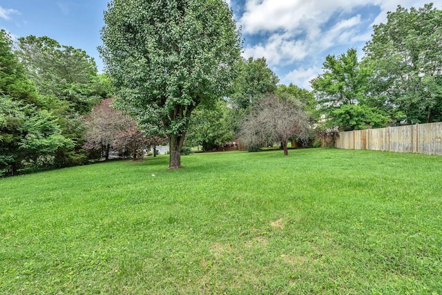 545 Old Lebanon Dirt Rd, Hermitage, TN 37076 - view of yard